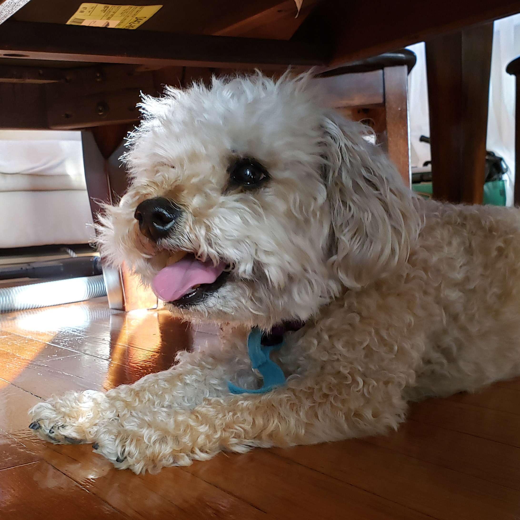 Rocky